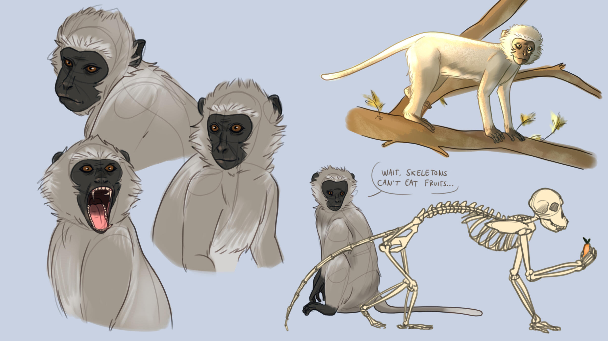 Funny Monkey